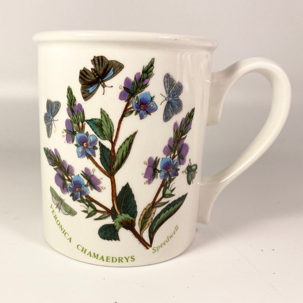 Portmeirion Botanic Garden by Susan Ellis Veronica Chamaedrys design